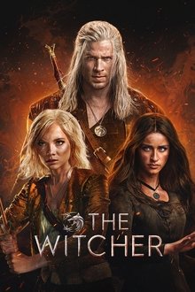 The Witcher - ViblixPlus