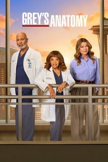 Grey's Anatomy - ViblixPlus