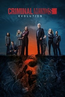 Criminal Minds - ViblixPlus